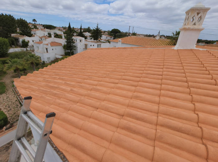 Escada encostada à fachada e telhado de uma casa recém-limpos